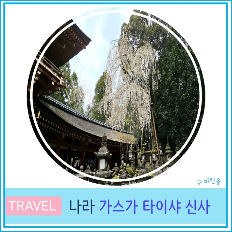  오사카 근교 소도시 나라 여행 산책하기 좋은 곳 가스가 타이샤 신사