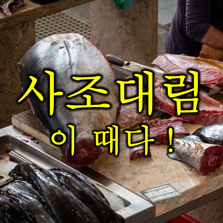  국가대표 수산주 사조대림 주가 배당 및 실적 (feat. 참치)