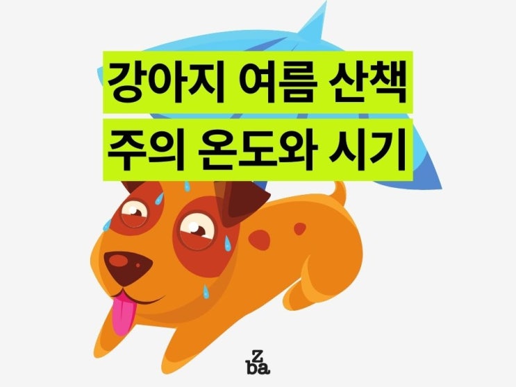  강아지 산책 여름 주의 온도와 시기