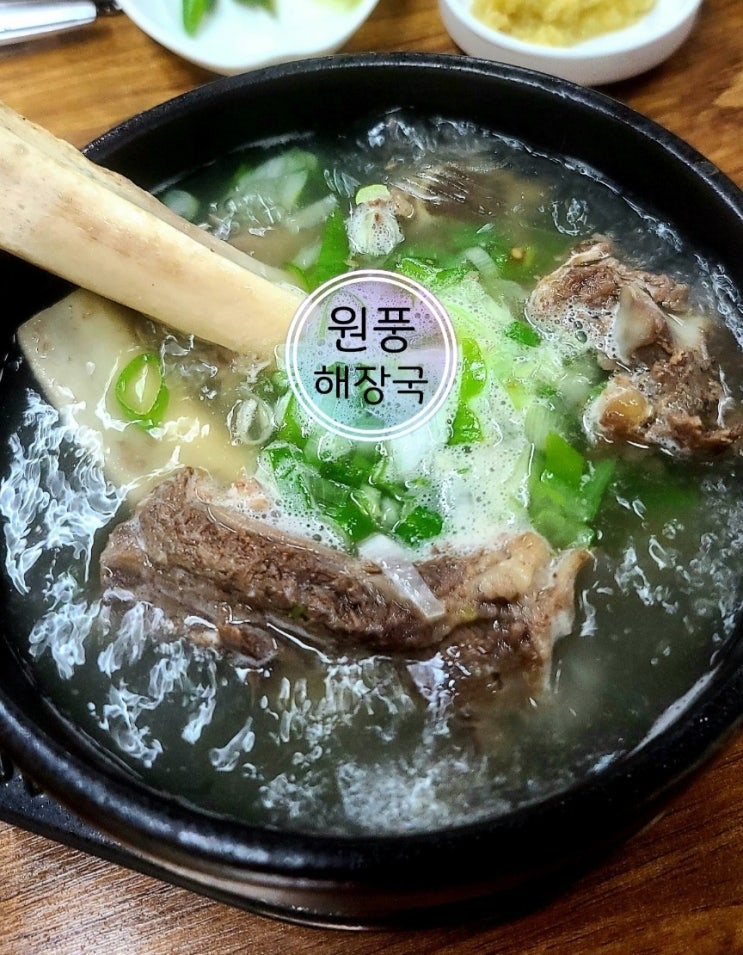  제주 함덕 해장하기 좋은 도민 맛집 원풍해장국