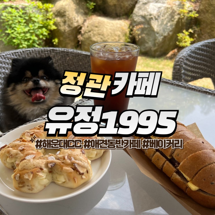  정관 유정1995 :: 해운대CC 인근 기장 애견동반카페