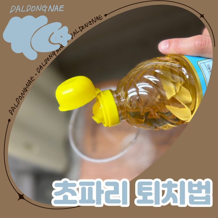  여름철 초파리없애는법