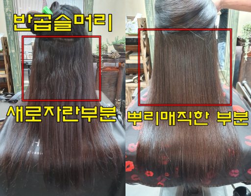  곱슬머리 뿌리매직 후기 전주 삼천동 미용실 마벨