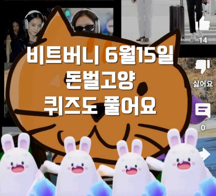  비트버니 퀴즈 6월 15일 정답은?  ㅇㅈ  돈벌고양 ? ㄱㄹ