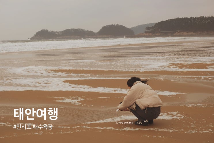  태안 여행 서해안의 예쁜 바다 만리포 해수욕