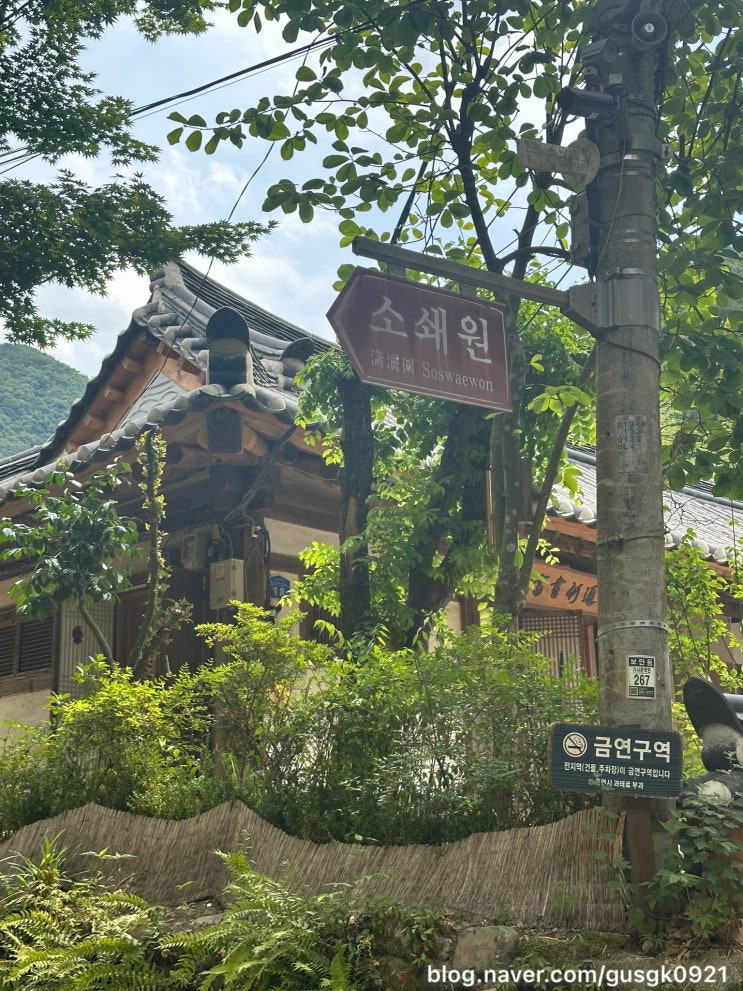  전남 담양여행 가볼만한곳 소쇄원 주차 입장료 포토존 등