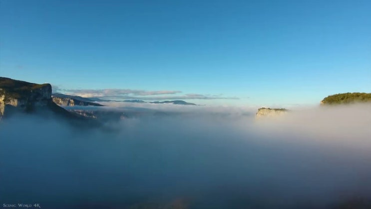  산림산업기사 자격증 산림산업기사 응시조건 온라인으로 쉽고 빠르게 성공한 비법