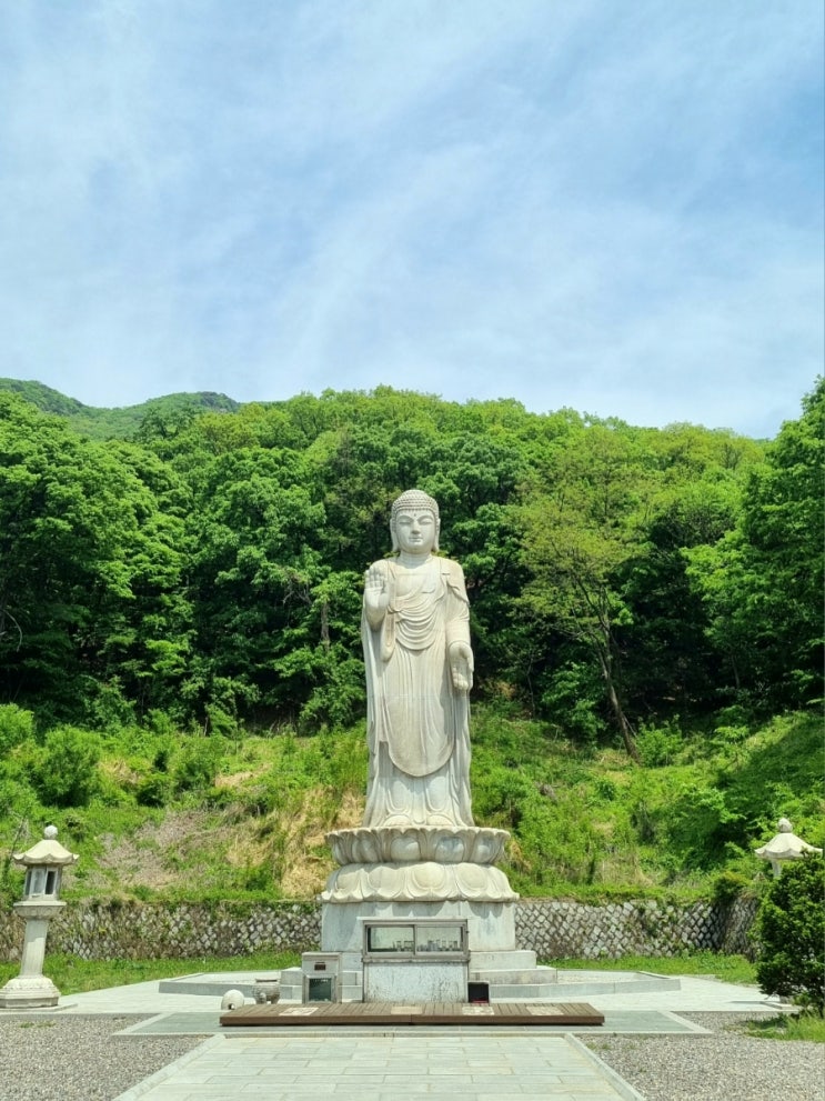  경기도 파주 가볼만한곳 아름다운 풍경의 절 보광사