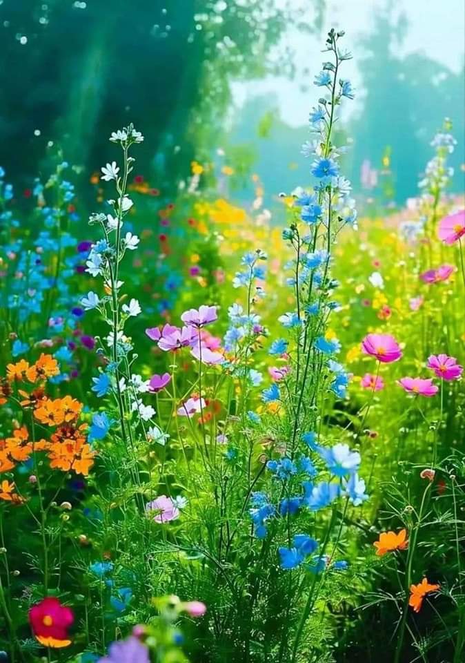   오늘의 생활정보 (2024-06-14, 금)