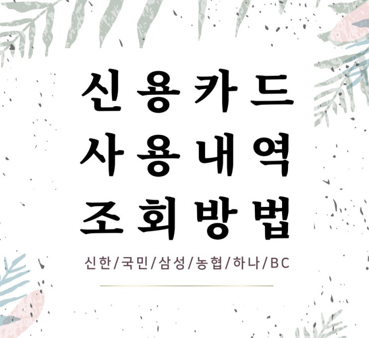  사업자 신용카드 사용내역 조회방법(신한, KB국민, 삼성, NH농협, 현대, 하나, BC카드)