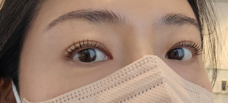  속눈썹펌으로 인형눈썹 만들기, 연신내 속눈썹 맛집 베네뷰티