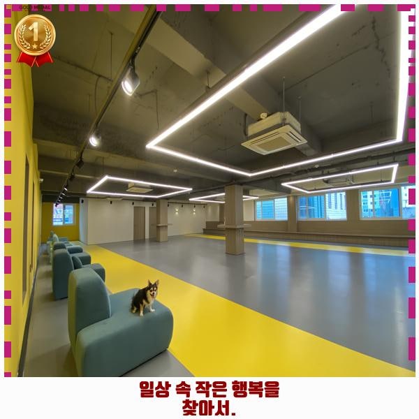 사진 3