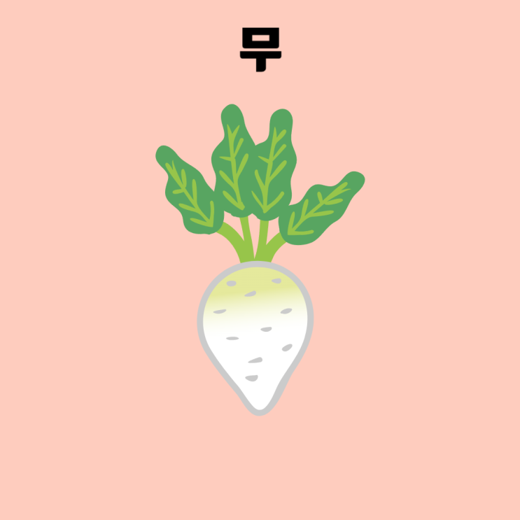  무, 다양한 건강 혜택을 주는 필수 식재료