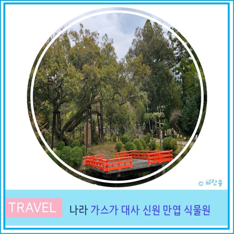  오사카 근교 소도시 나라 여행 추천 가스가 대사 신원 만엽 식물원