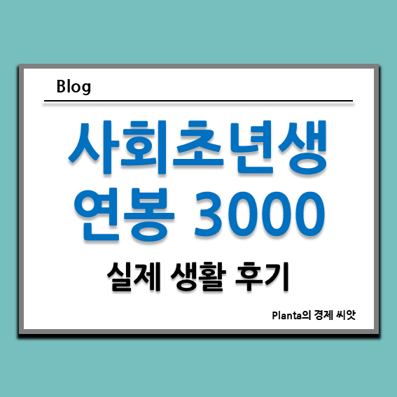  연봉 3000만 원 실수령액 : 사회초년생 생활이 가능할까