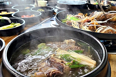 달구씨 이미지