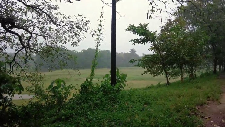  전문대 학점은행제 학점은행제 학위 집에서 온라인으로 준비한 팁