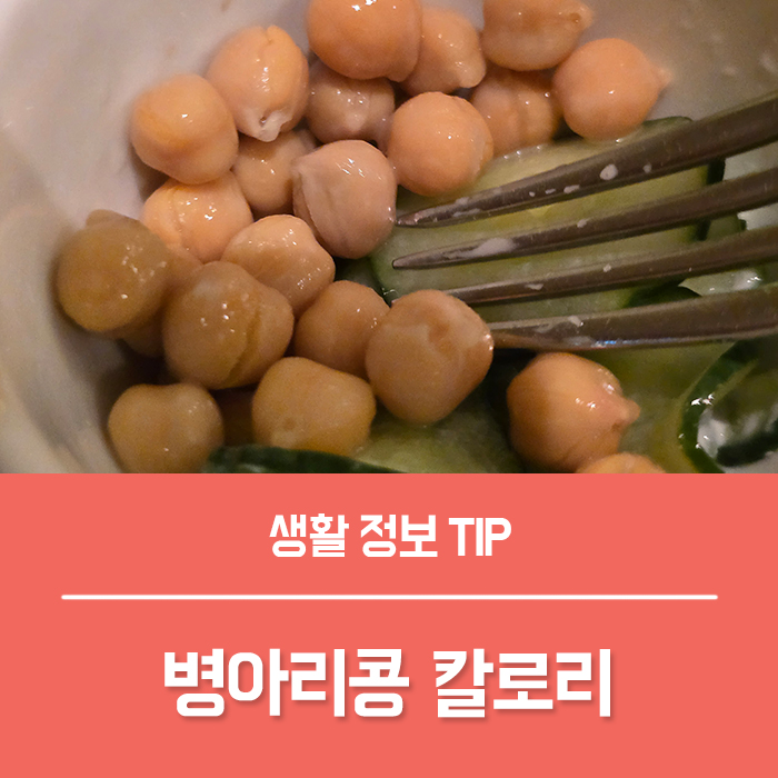  병아리콩 효능 베스트3, 삶은 병아리콩 칼로리 보관방법 부작용은?