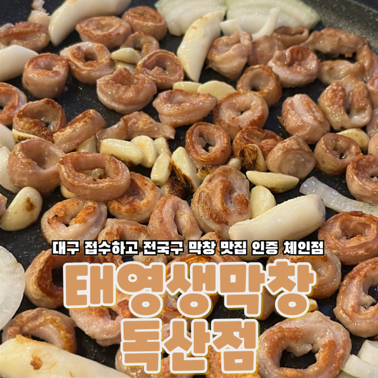  금천구 독산동 대구막창 접수하고 검증 된 맛집 태영생막창 독산점
