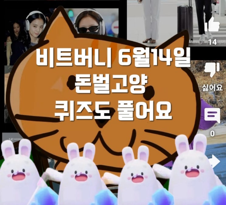  비트버니 퀴즈 6월 14일 정답은?   ㄴㅋ  돈벌고양 퀴즈 ㄱㄹ? 스위치원퀴즈 ㄱㅇㅋㄷ?