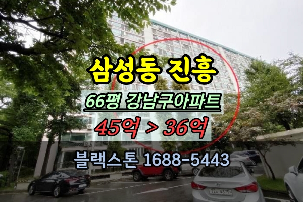  청담삼성진흥아파트 경매 66평 강남구 대형평수 노후단지 추천