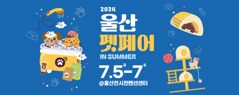 사진 6