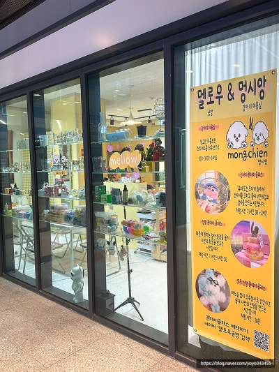 사진 8