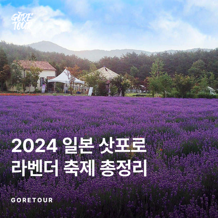  2024 일본 삿포로 라벤더 축제 총정리