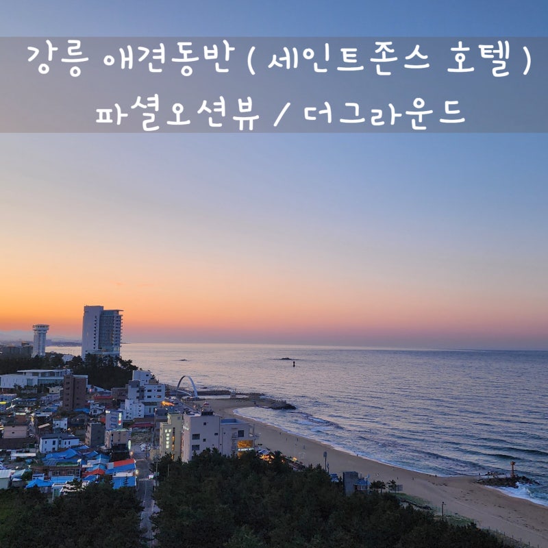 사진 9