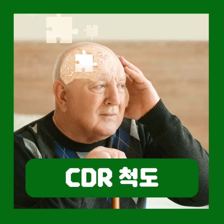  CDR 척도 치매 검사 장기요양 등급판정 기준
