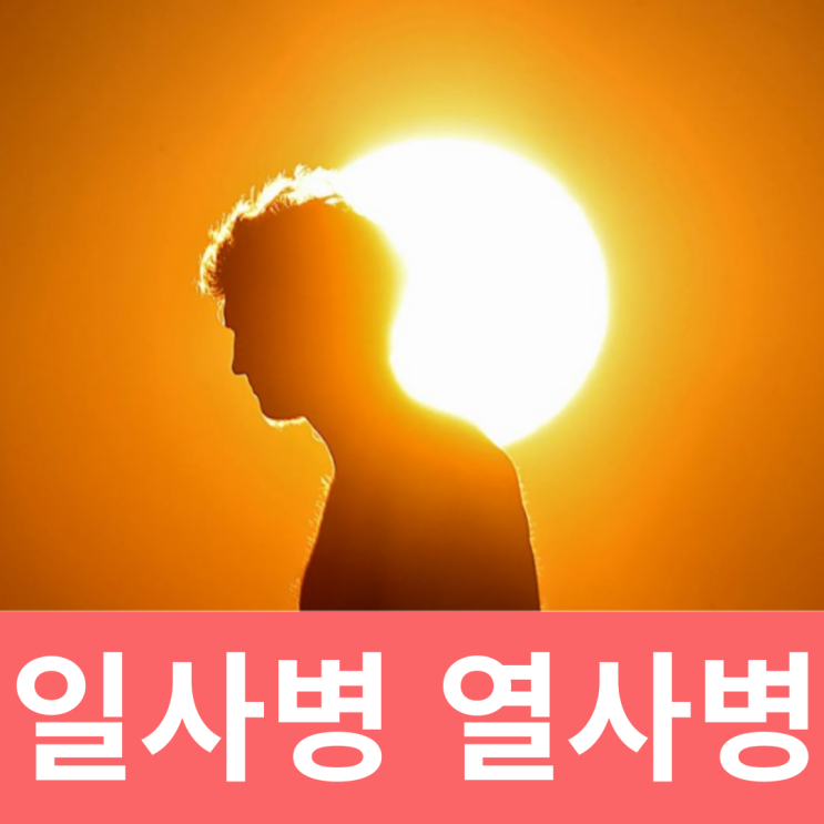  일사병 열사병 증상 차이 응급처치 예방법