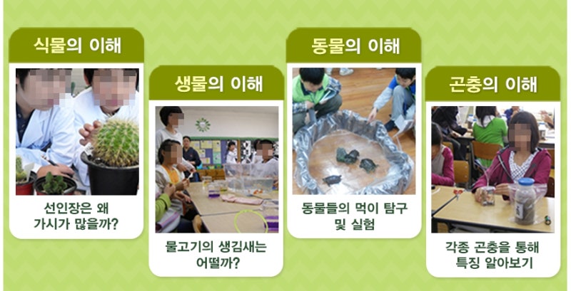 초등학교 과학실험 강사로 경력단절을 성공적으로 극복했습니다! 5