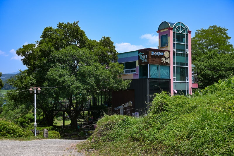 사진 6