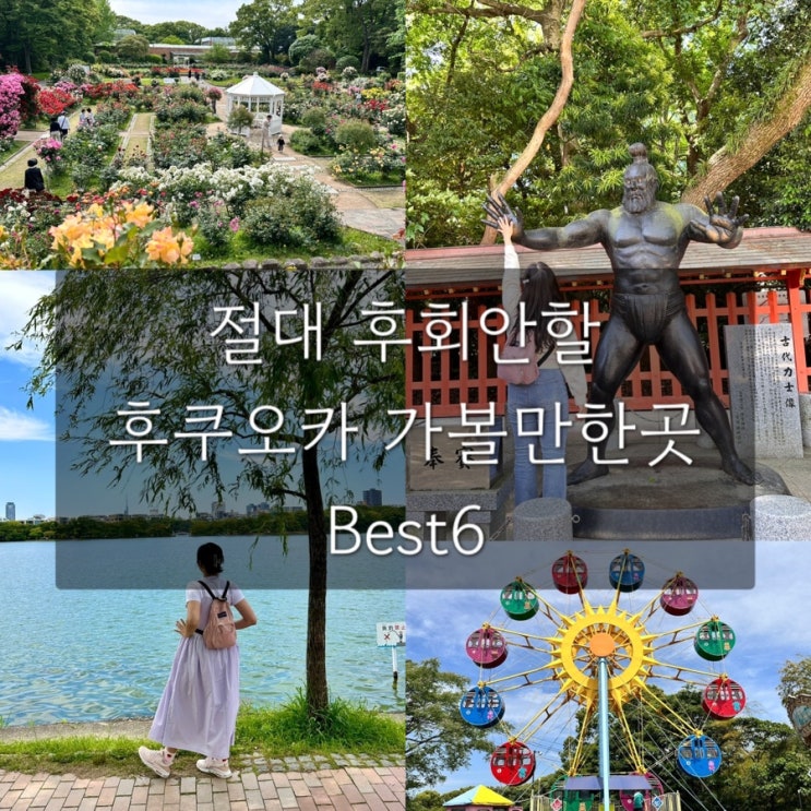  일본 후쿠오카 아이와 가볼만한곳 best6 후회없는 놀거리 볼거리