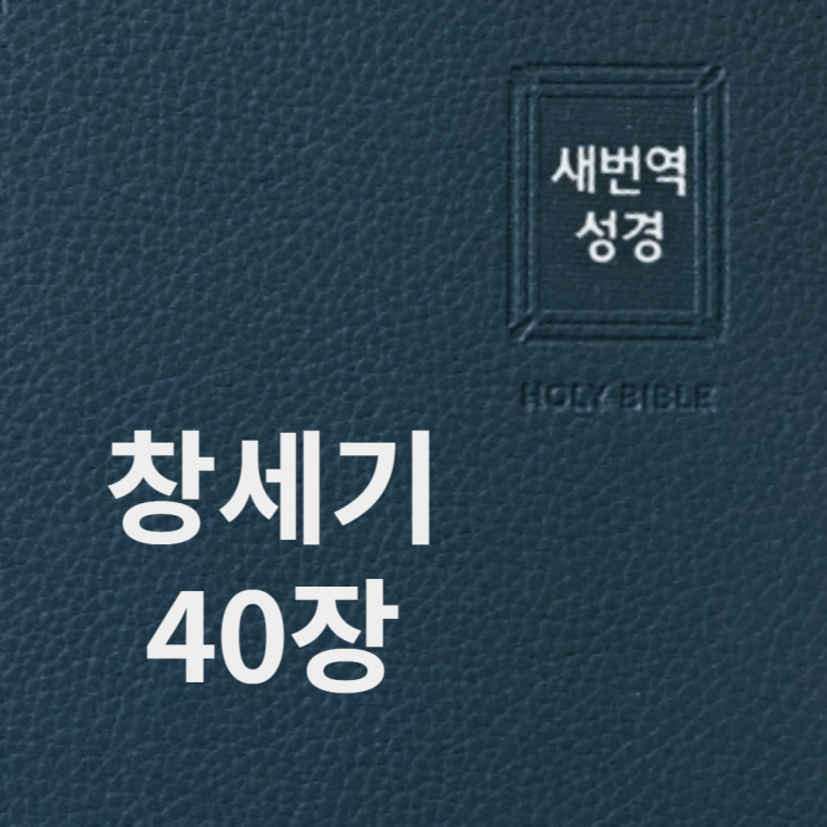 창세기 40장 창세기 40장