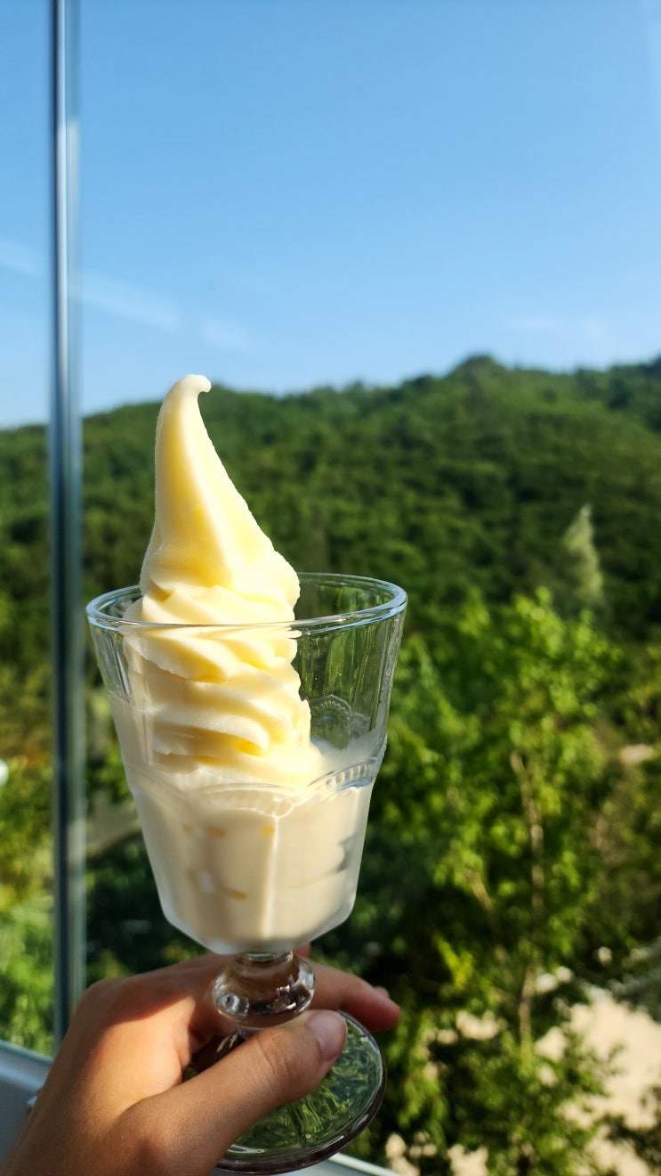  산양유 아이스크림이 맛있는 마운틴뷰 목장 체험 카페 태백 몽토랑