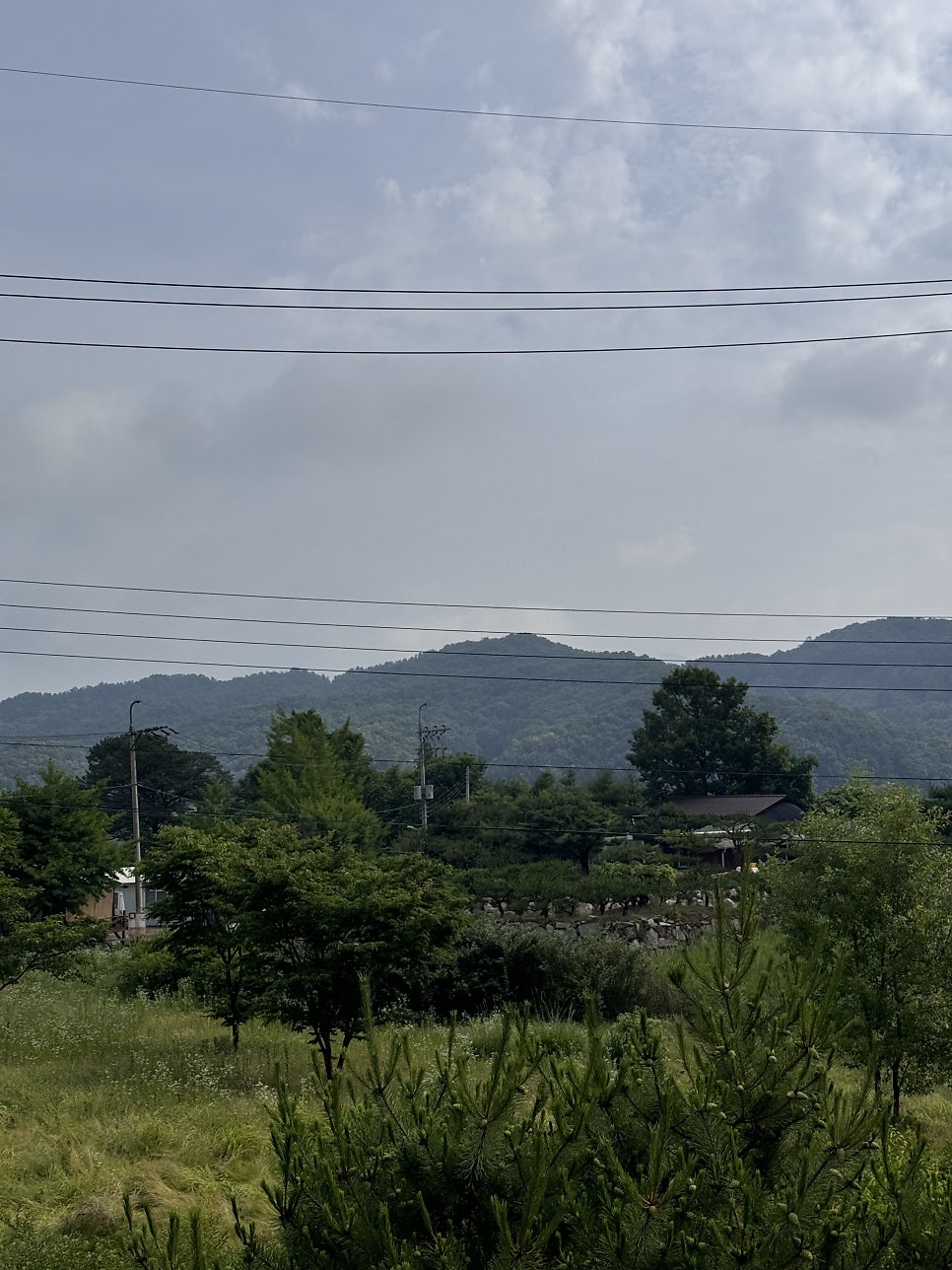 Oikoseurejeopensyeon photo 2