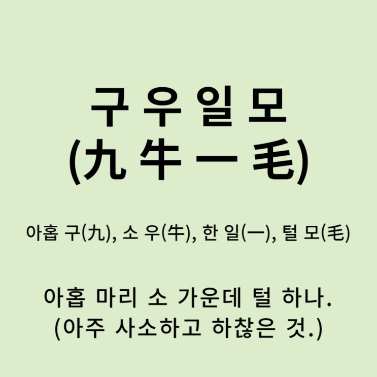  고사성어 뒤집어 보기 (29. 구우일모)