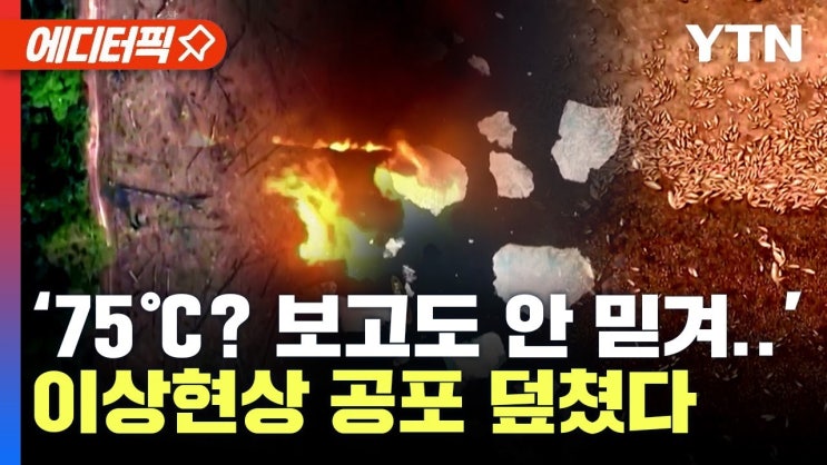 전 세계 덮친 이상기후 현상 '떼죽음' 공포까지..“올해 최악일 듯” 무서운 경고 나왔다 전 세계 덮친 이상기후 현상 '떼죽음' 공포까지..“올해 최악일 듯” 무서운 경고 나왔다