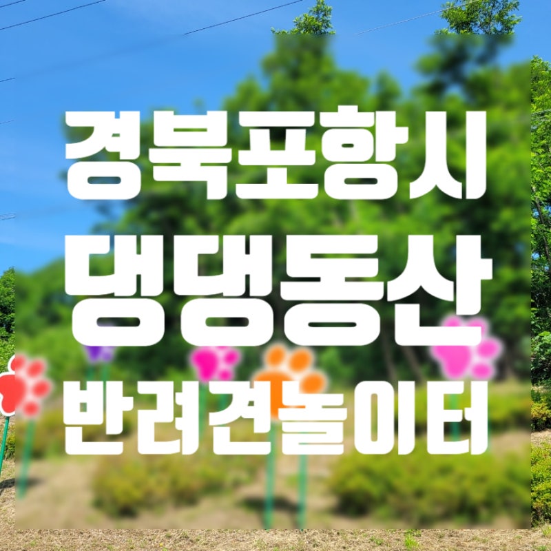 사진 3
