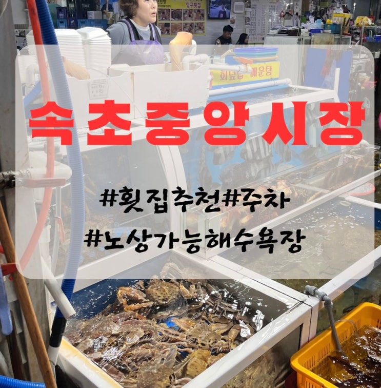  속초 중앙시장 주차권, 횟집 추천, 대게 시세| 속초 노상 가능 해수욕장