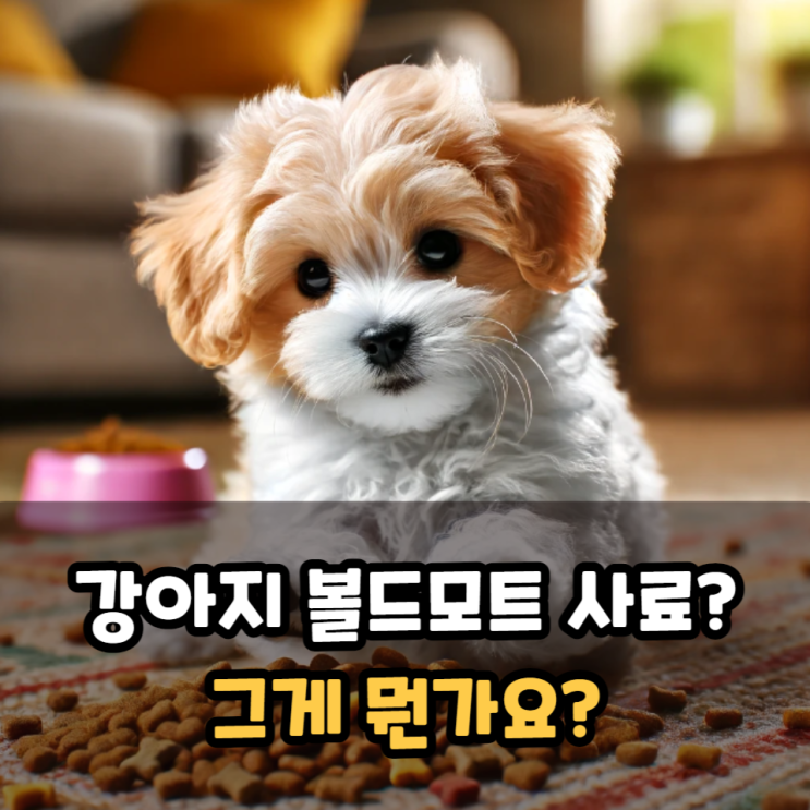  강아지 볼드모트 사료가 뭔가요?