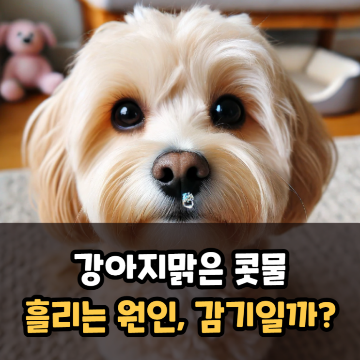  강아지맑은 콧물 흘리는 원인, 감기일까?