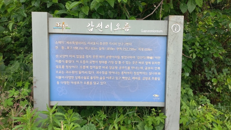 사진 10