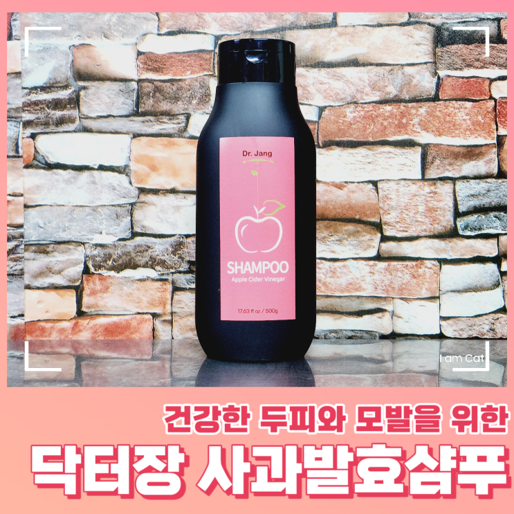  샴푸린스겸용 닥터장 사과발효샴푸 추천