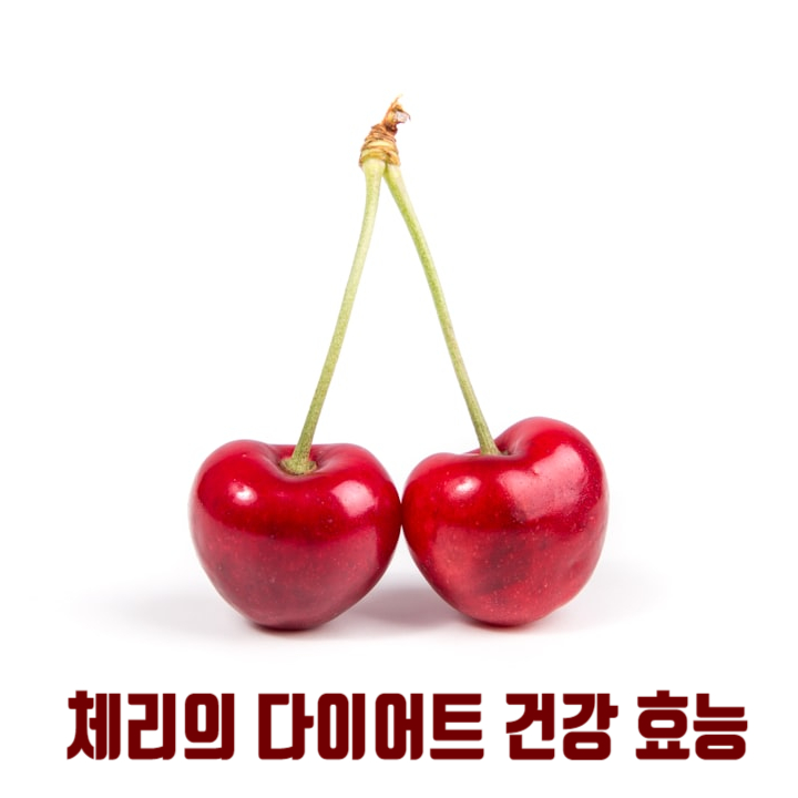  체리의 건강 효능 다이어트에 좋은 체리