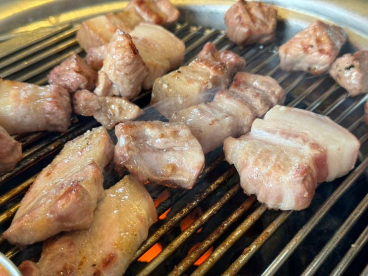  제주 조천 흑돼지 맛집 두툼한고기돈돼지 추천