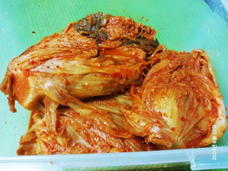  대나무밭 땅속 2년 숙성 묵은지