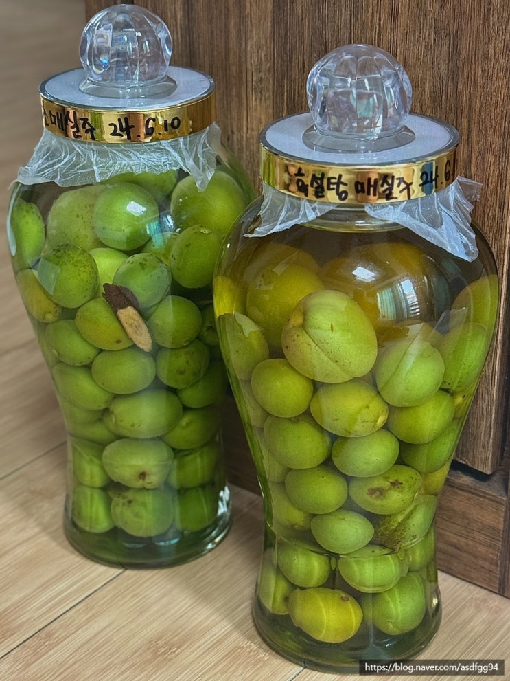  매실주 담그기 비율 담금주 담그는법