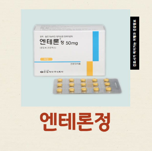  엔테론정 150MG 50MG 차이와 효능 부작용 처방
